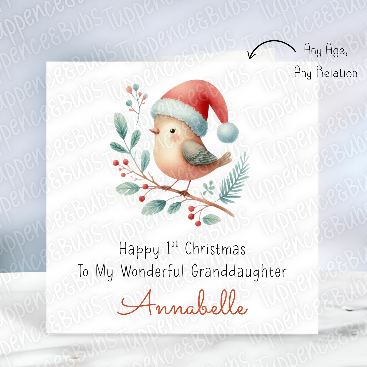 Robin Themed, Christmas Card - 4 Designs