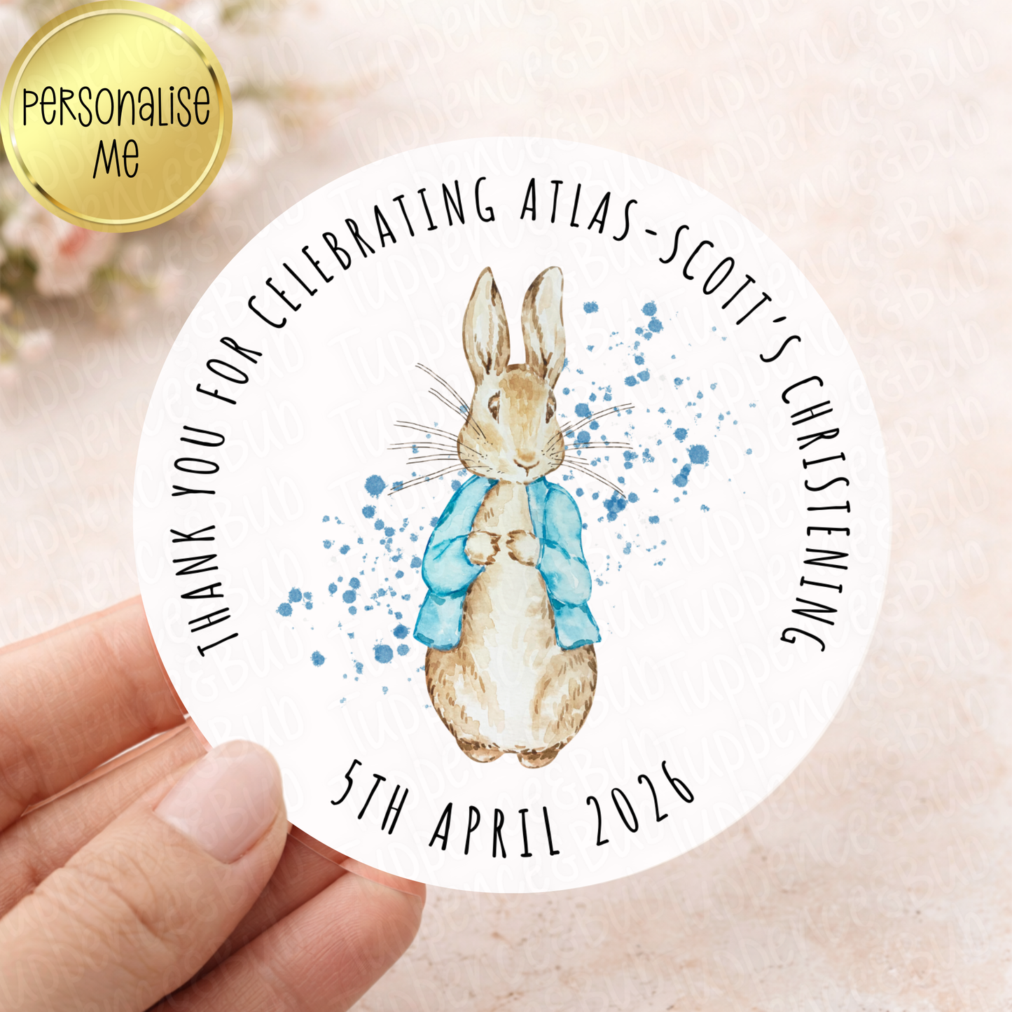 Peter Rabbit Inspired Stickers - Blue