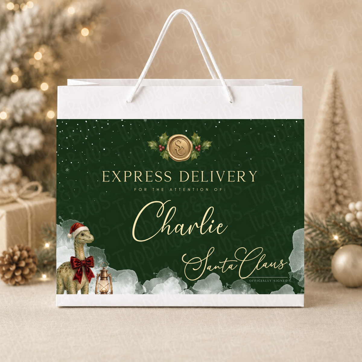 Personalised 30cm Dinosaur Christmas Gift Bag