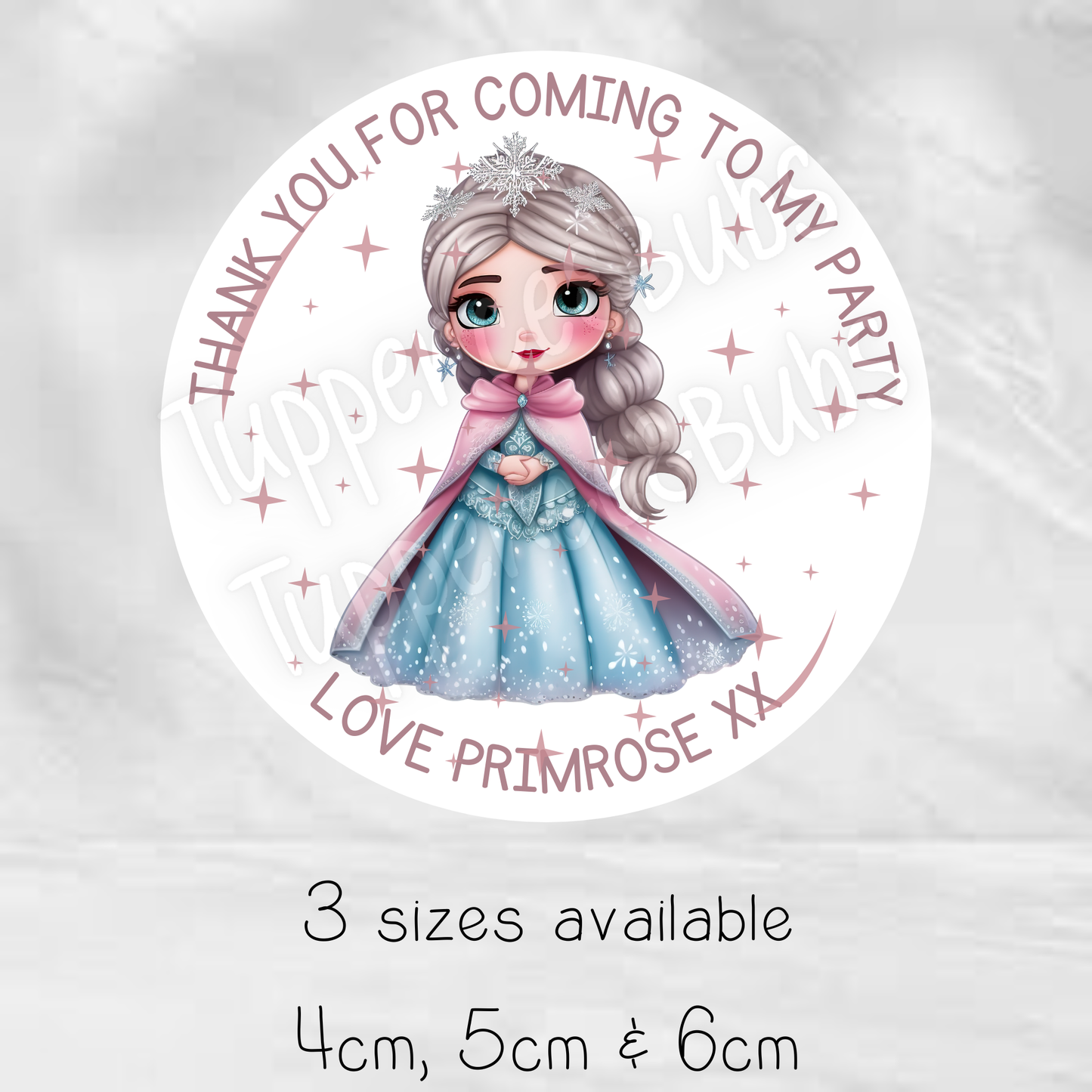 Frozen Inspired Stickers