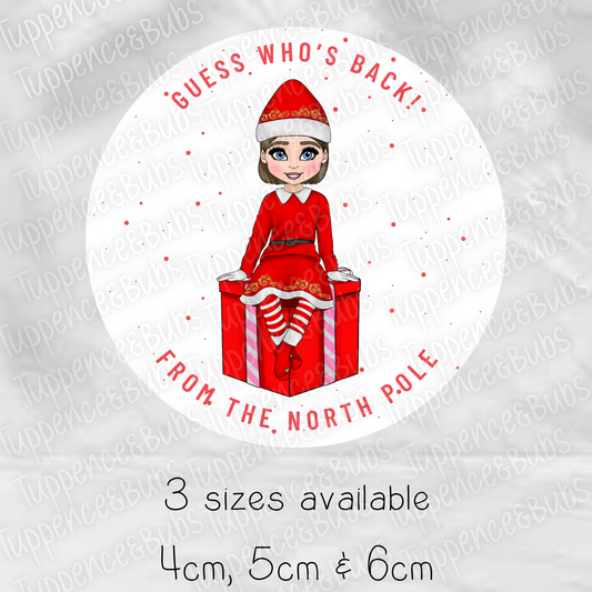 Guess Who's Back Stickers - Boy/Girl