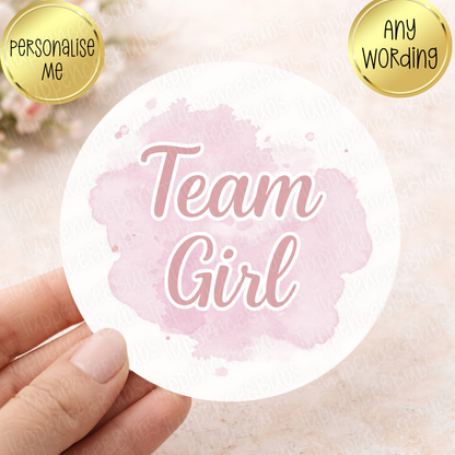 1 x Blue - 1 x Pink Team Boy Team Girl Stickers (2 sheets)