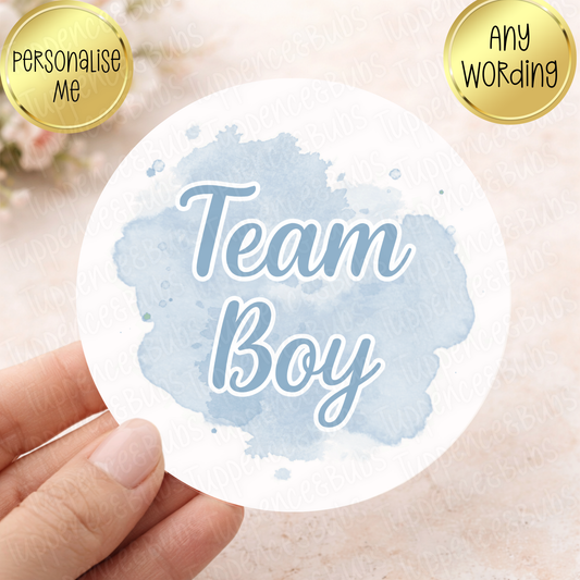 1 x Blue - 1 x Pink Team Boy Team Girl Stickers (2 sheets)