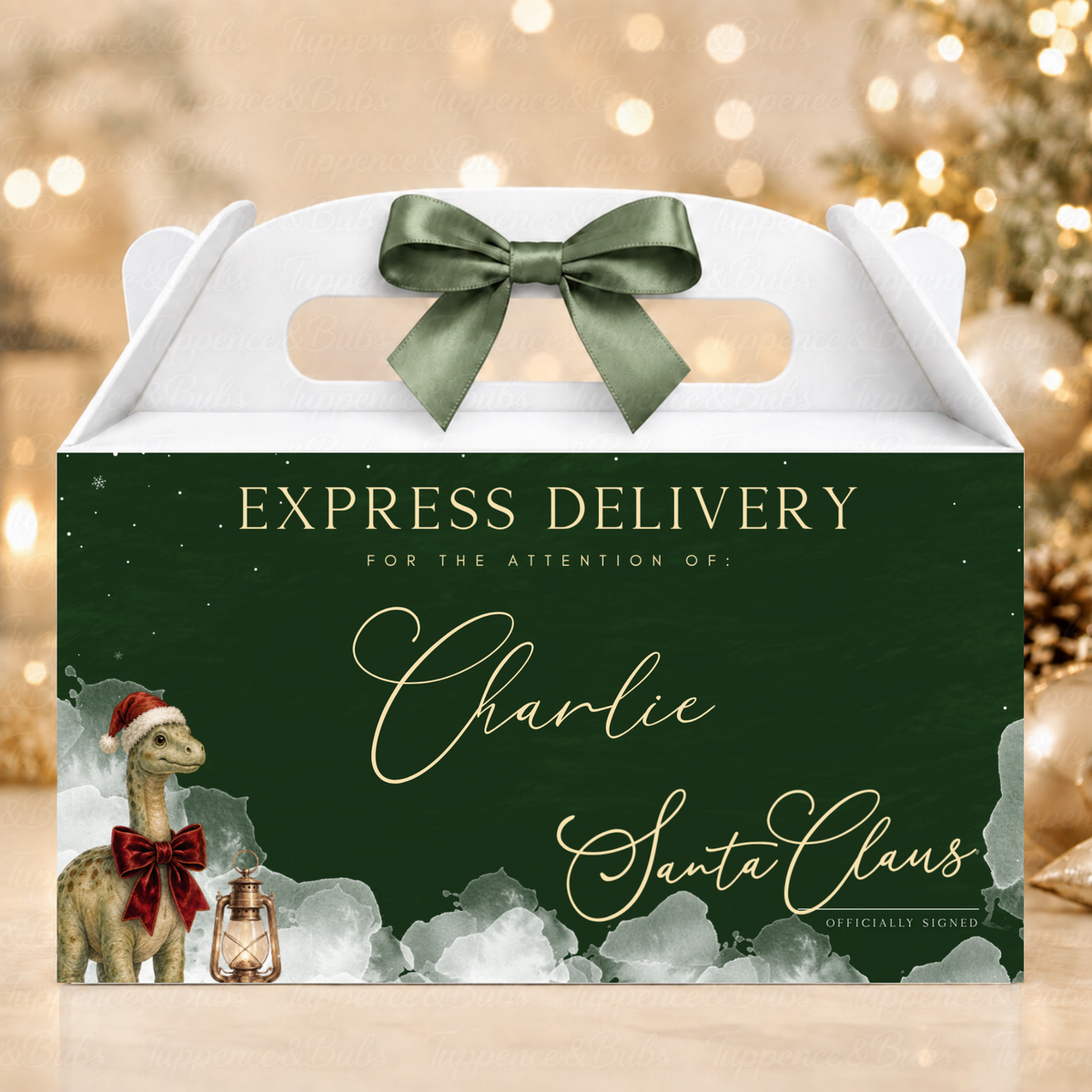 Personalised Christmas Dinosaur Express Delivery Gable Box